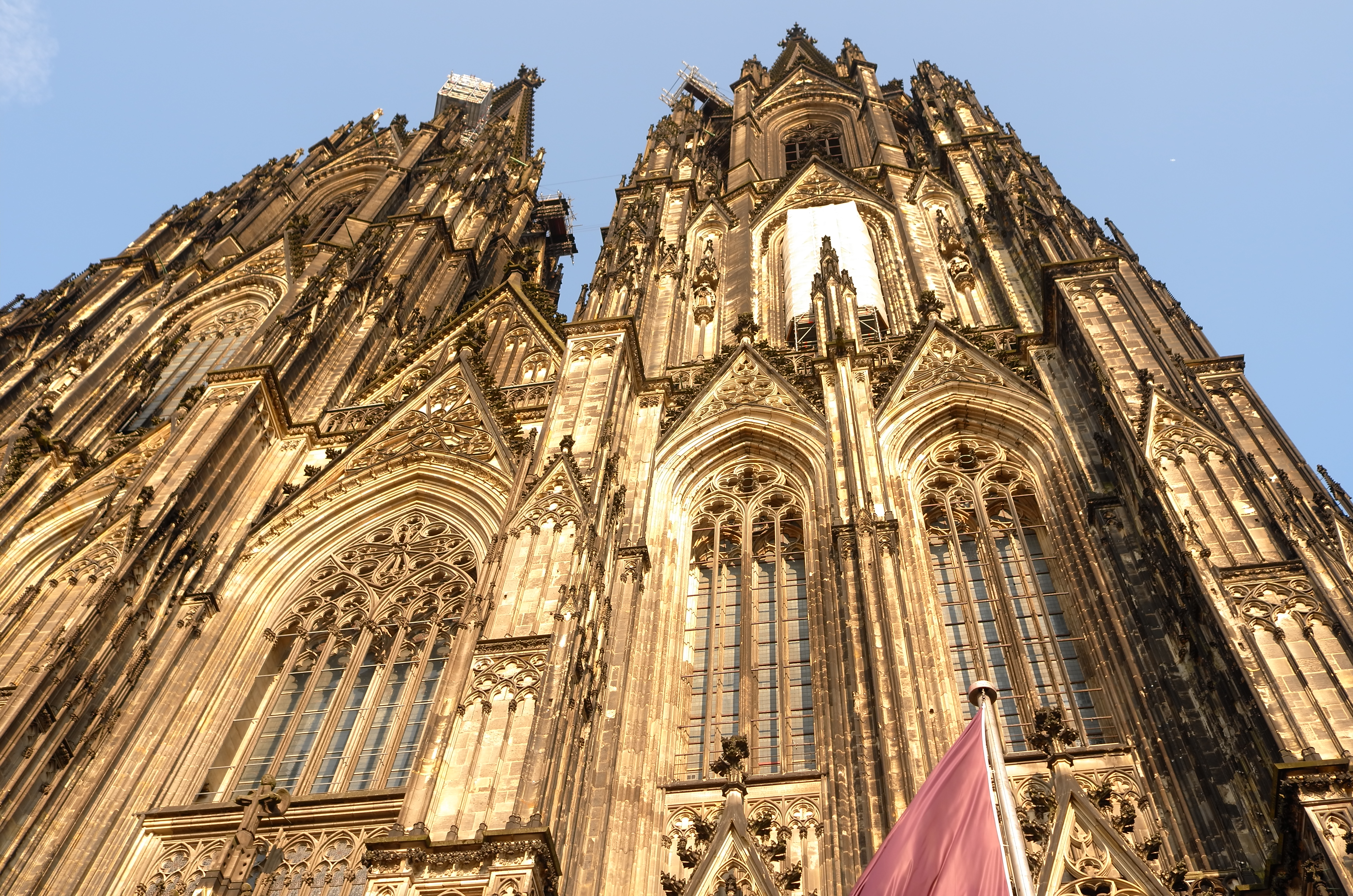 작성자 프로필 이미지