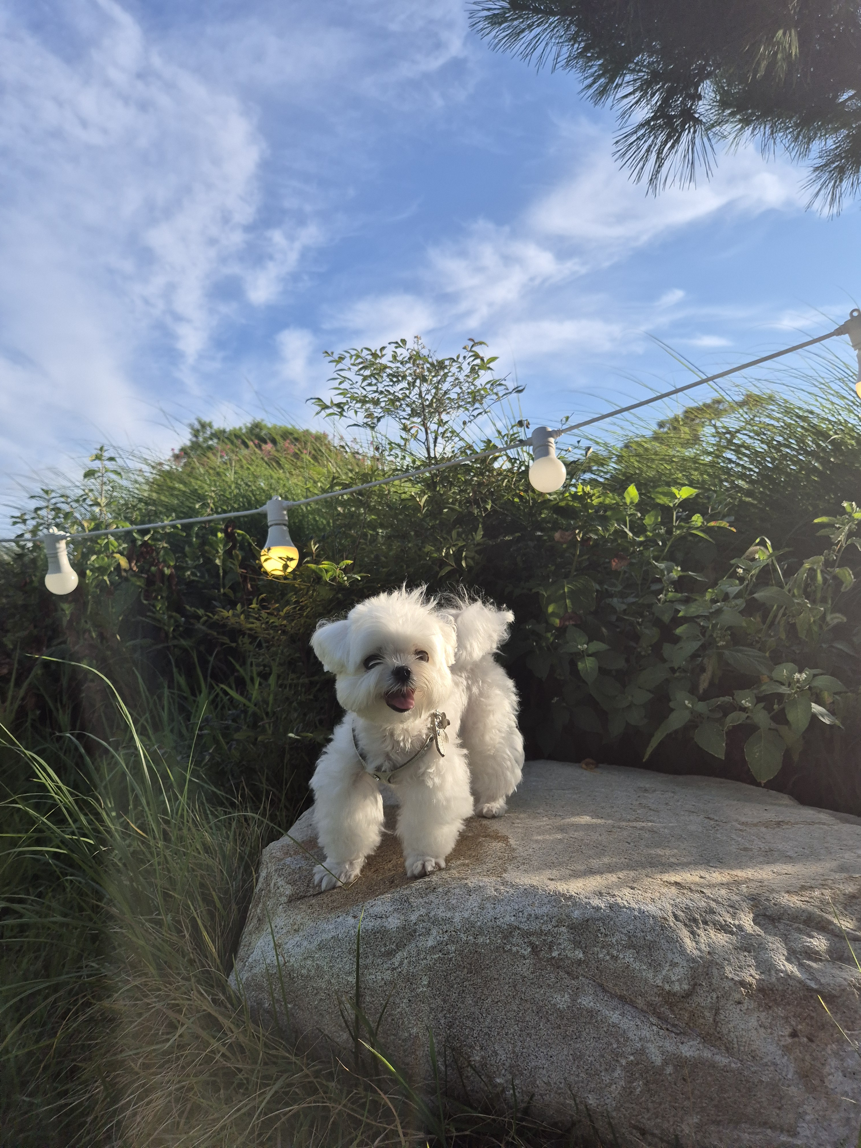 작성자 프로필 이미지