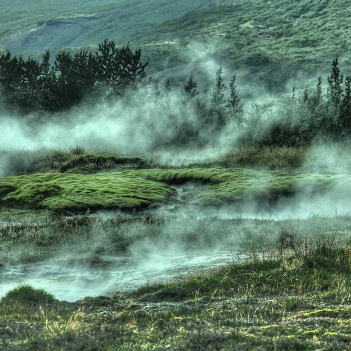 작성자 프로필 이미지