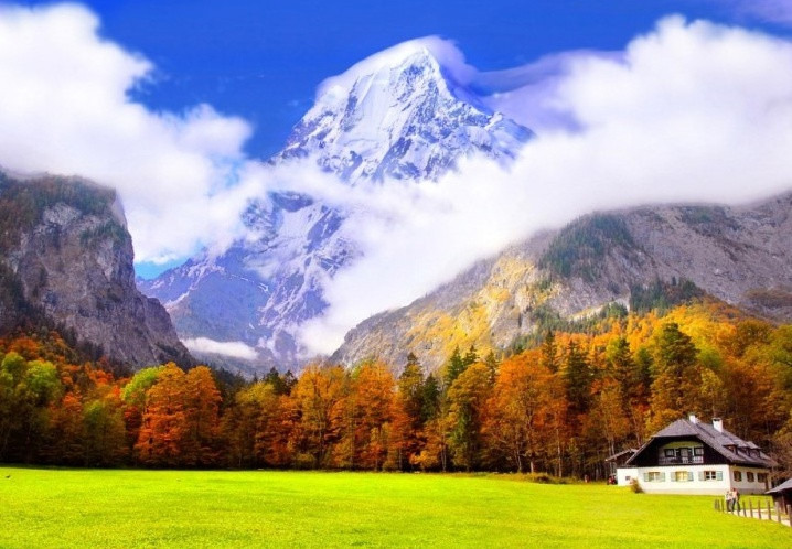 작성자 프로필 이미지