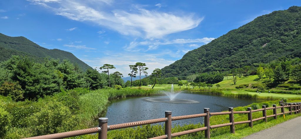 작성자 프로필 이미지