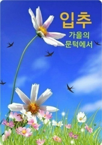 작성자 프로필 이미지