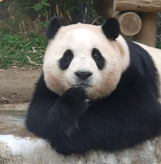 작성자 프로필 이미지