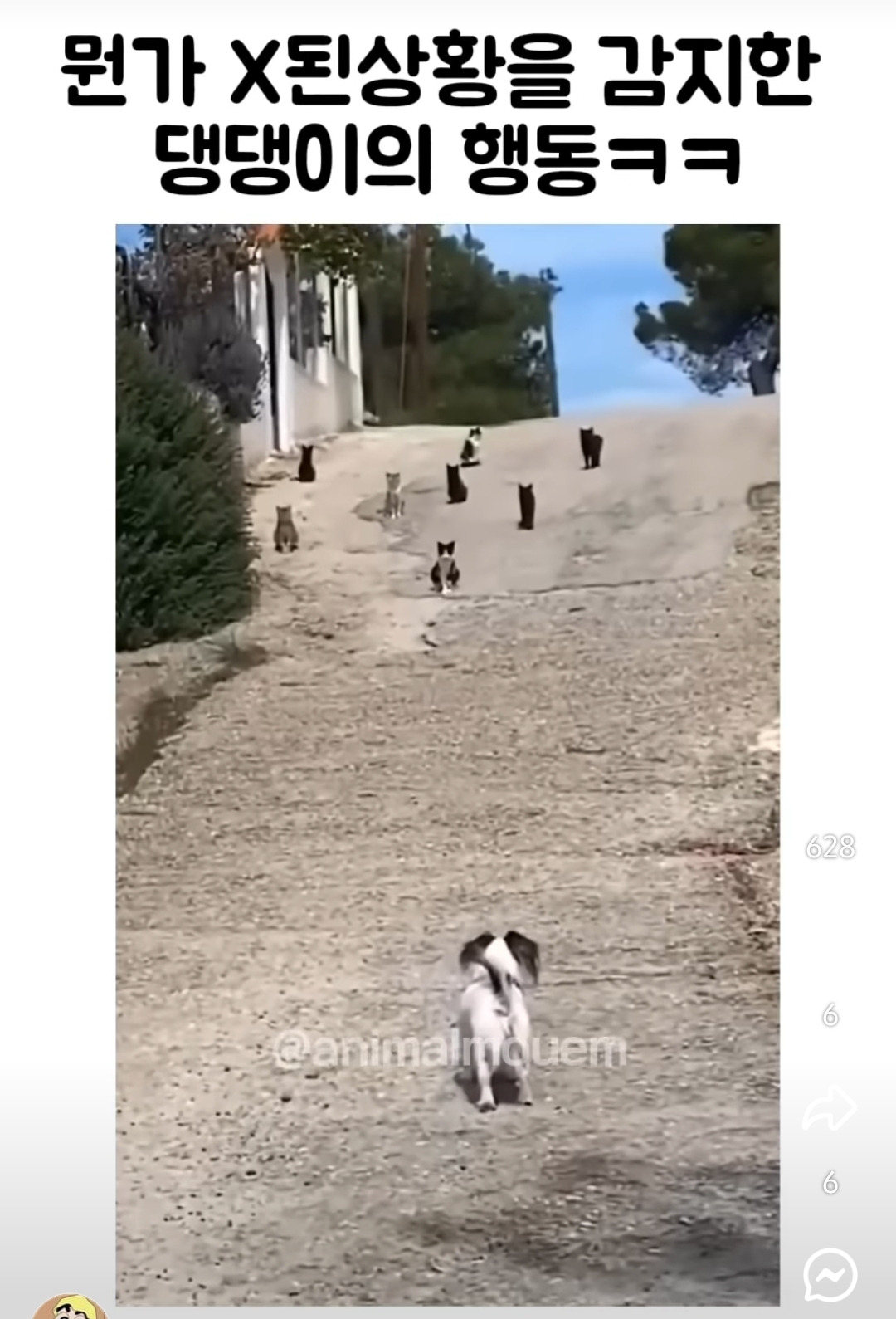 작성자 프로필 이미지