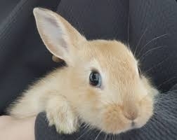 작성자 프로필 이미지