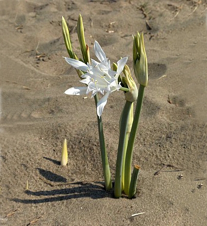 작성자 프로필 이미지