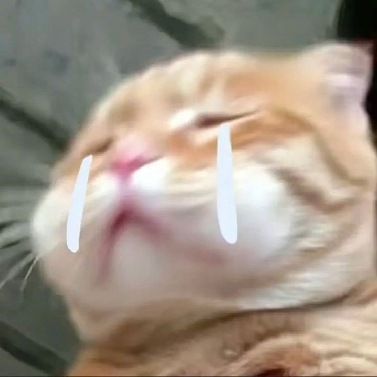 작성자 프로필 이미지