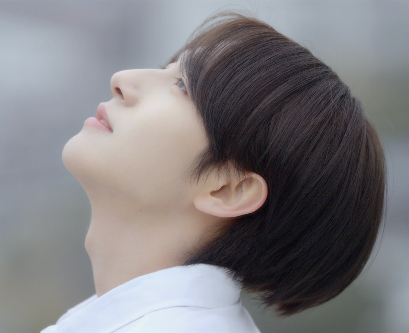 작성자 프로필 이미지