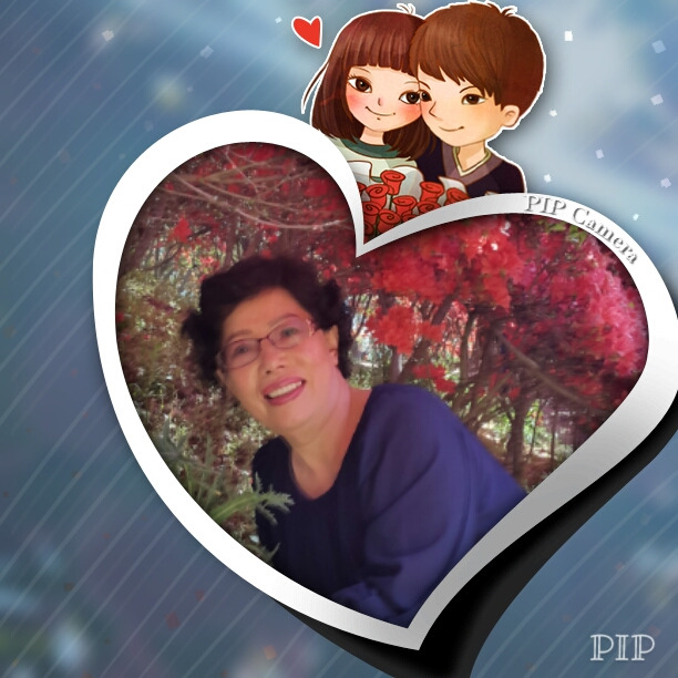 작성자 프로필 이미지