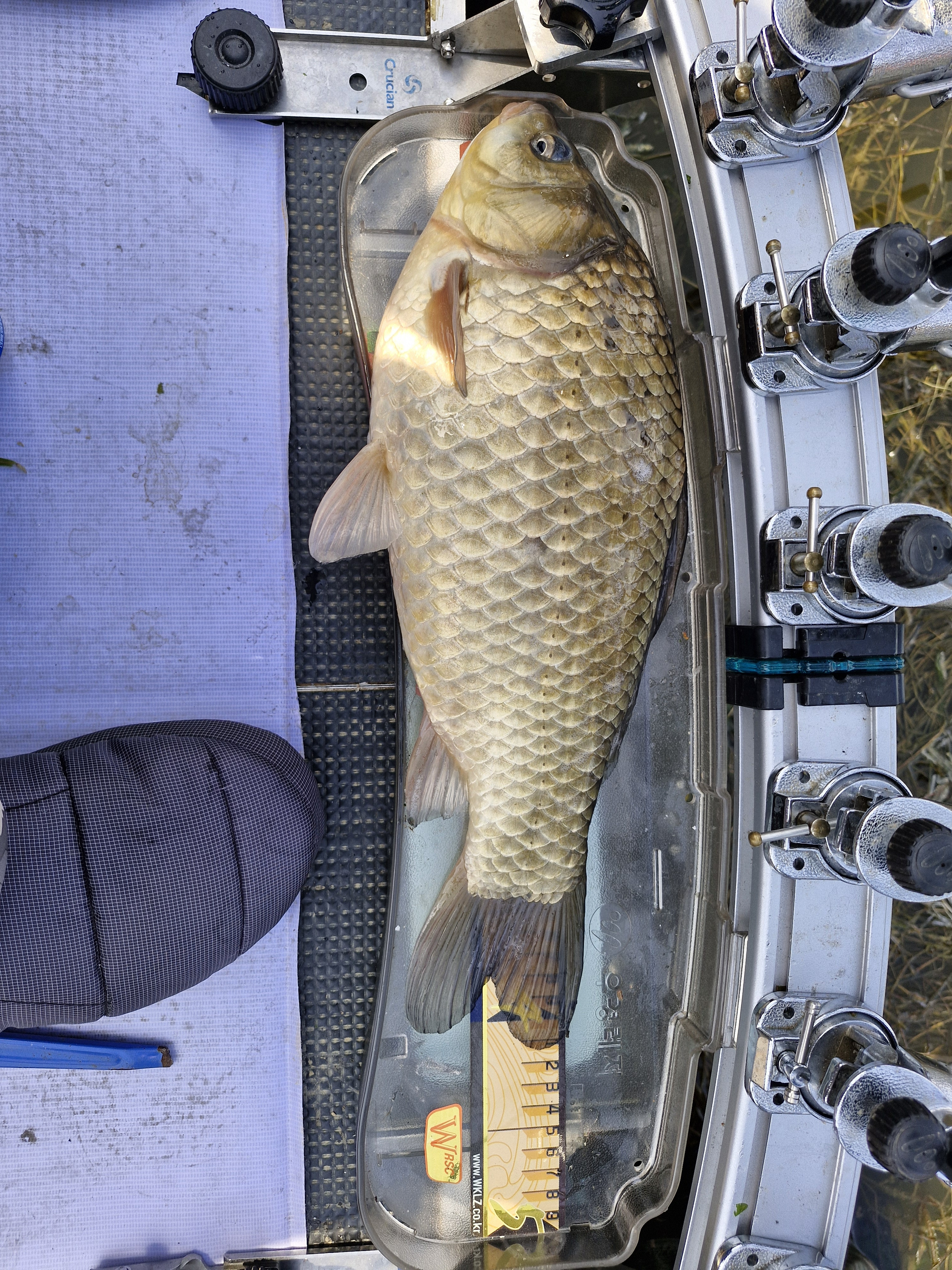 작성자 프로필 이미지