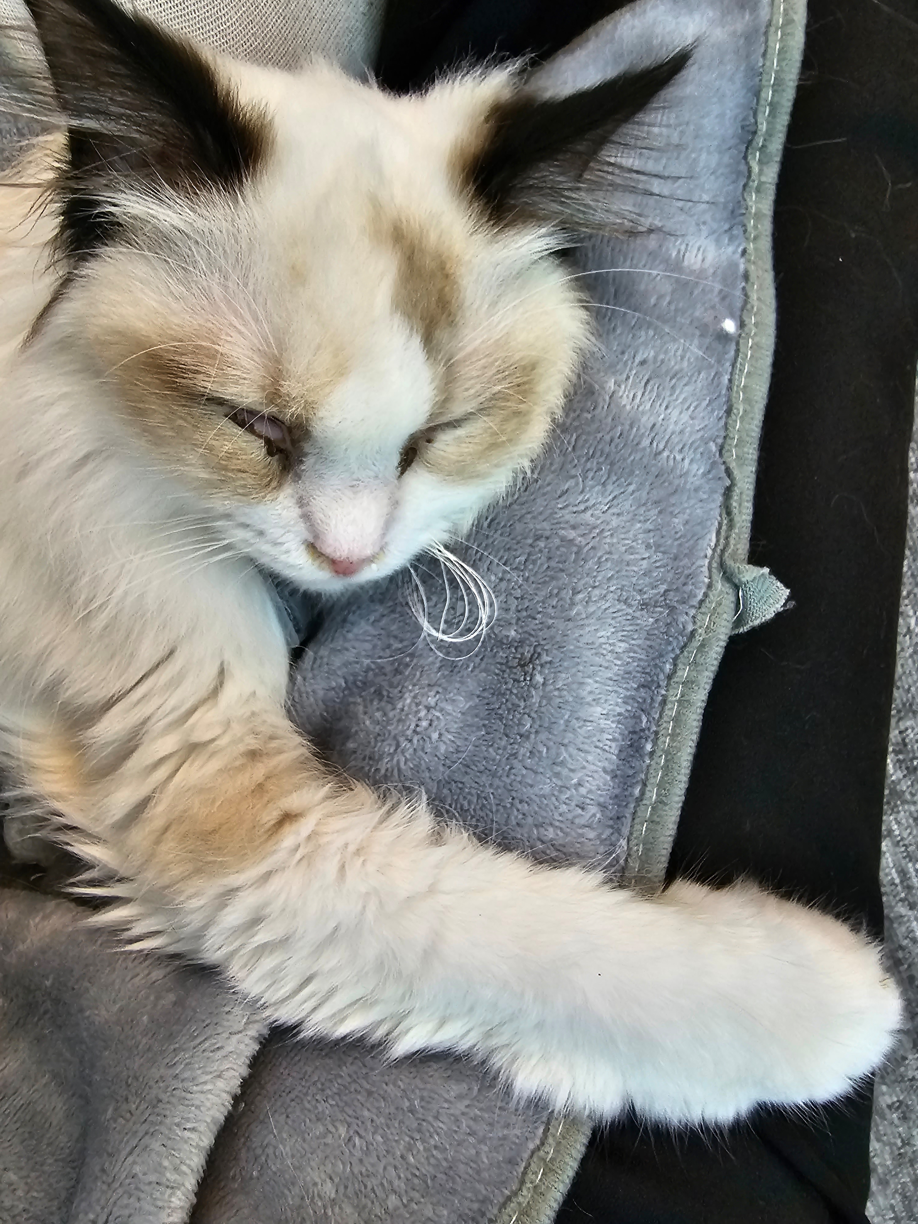 작성자 프로필 이미지