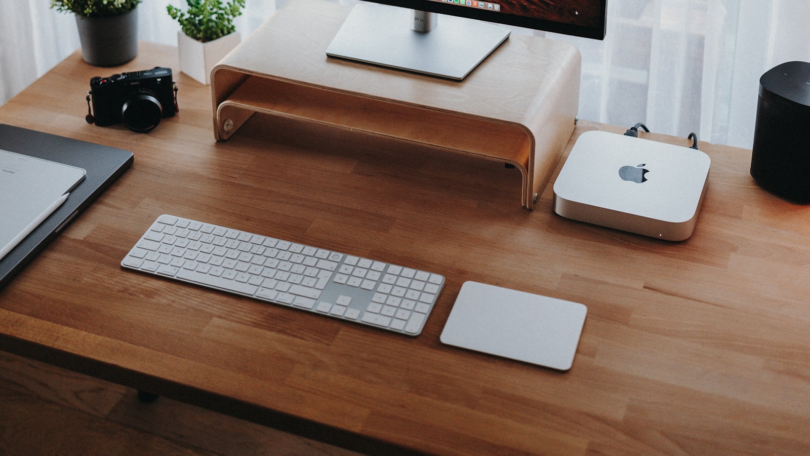 작성자 프로필 이미지