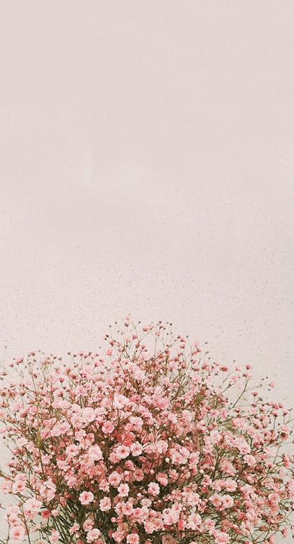 작성자 프로필 이미지