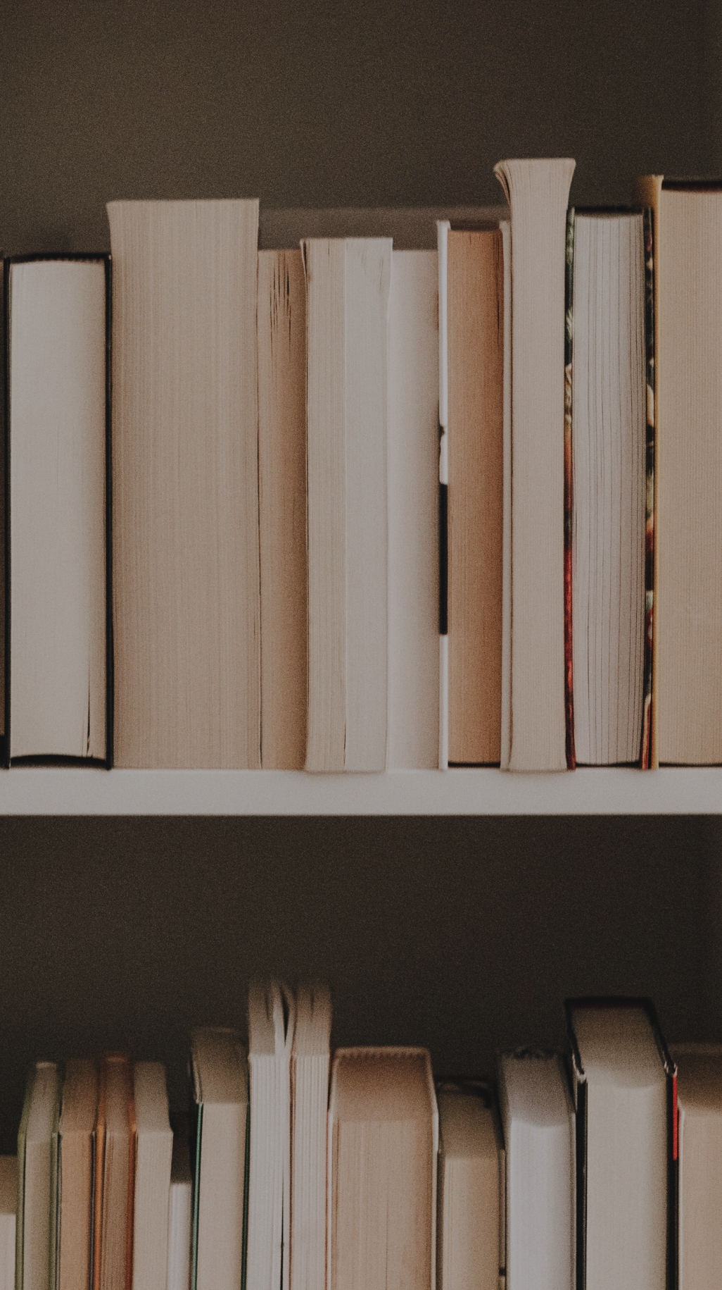 작성자 프로필 이미지