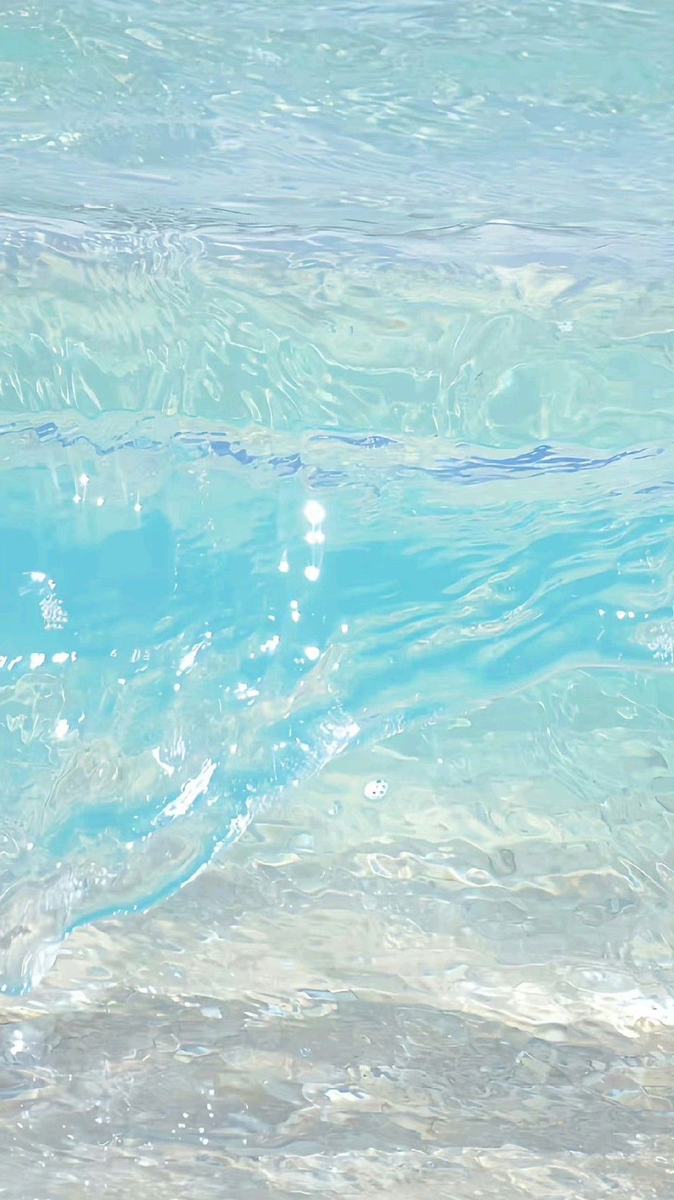 작성자 프로필 이미지