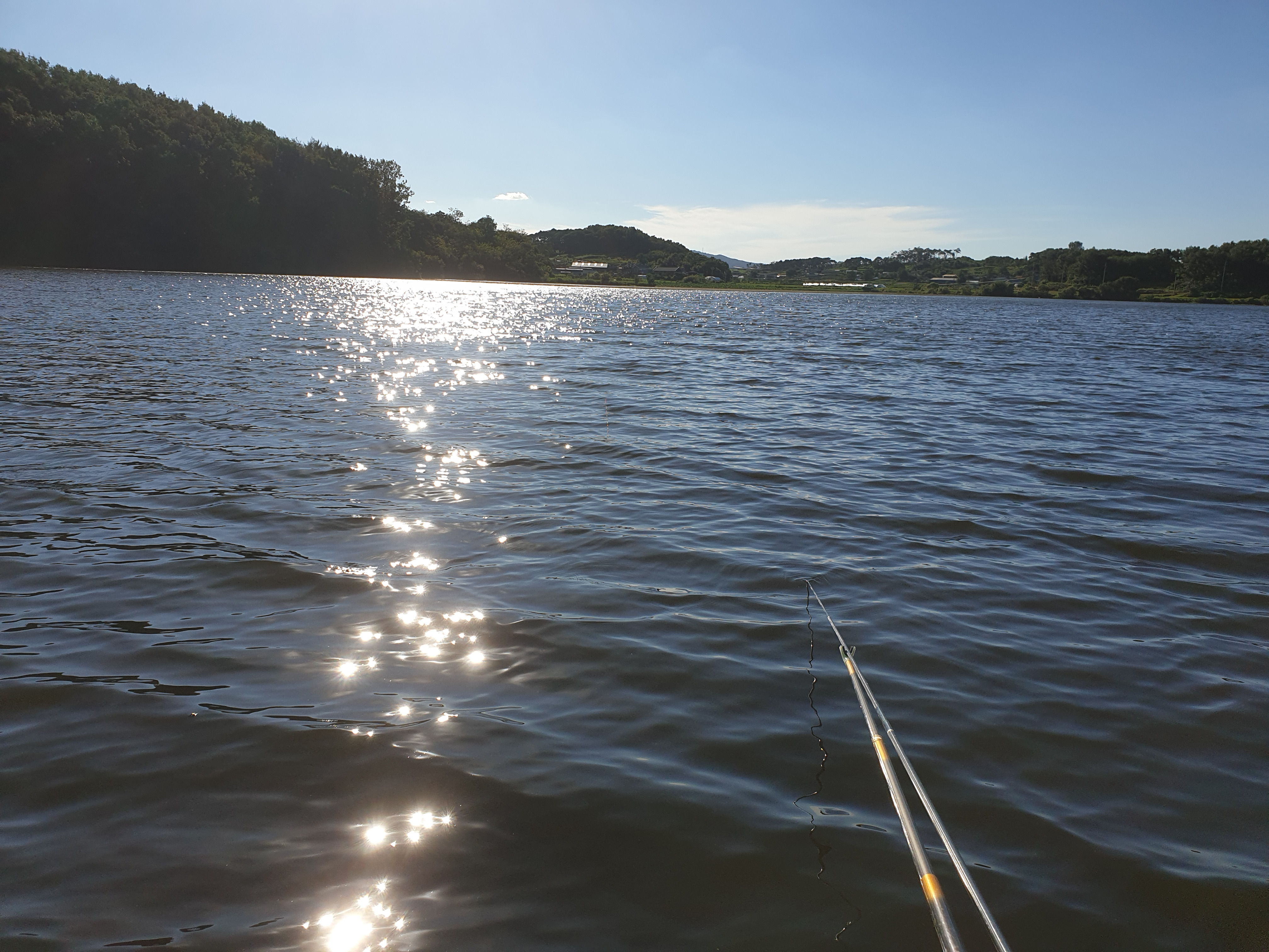 작성자 프로필 이미지