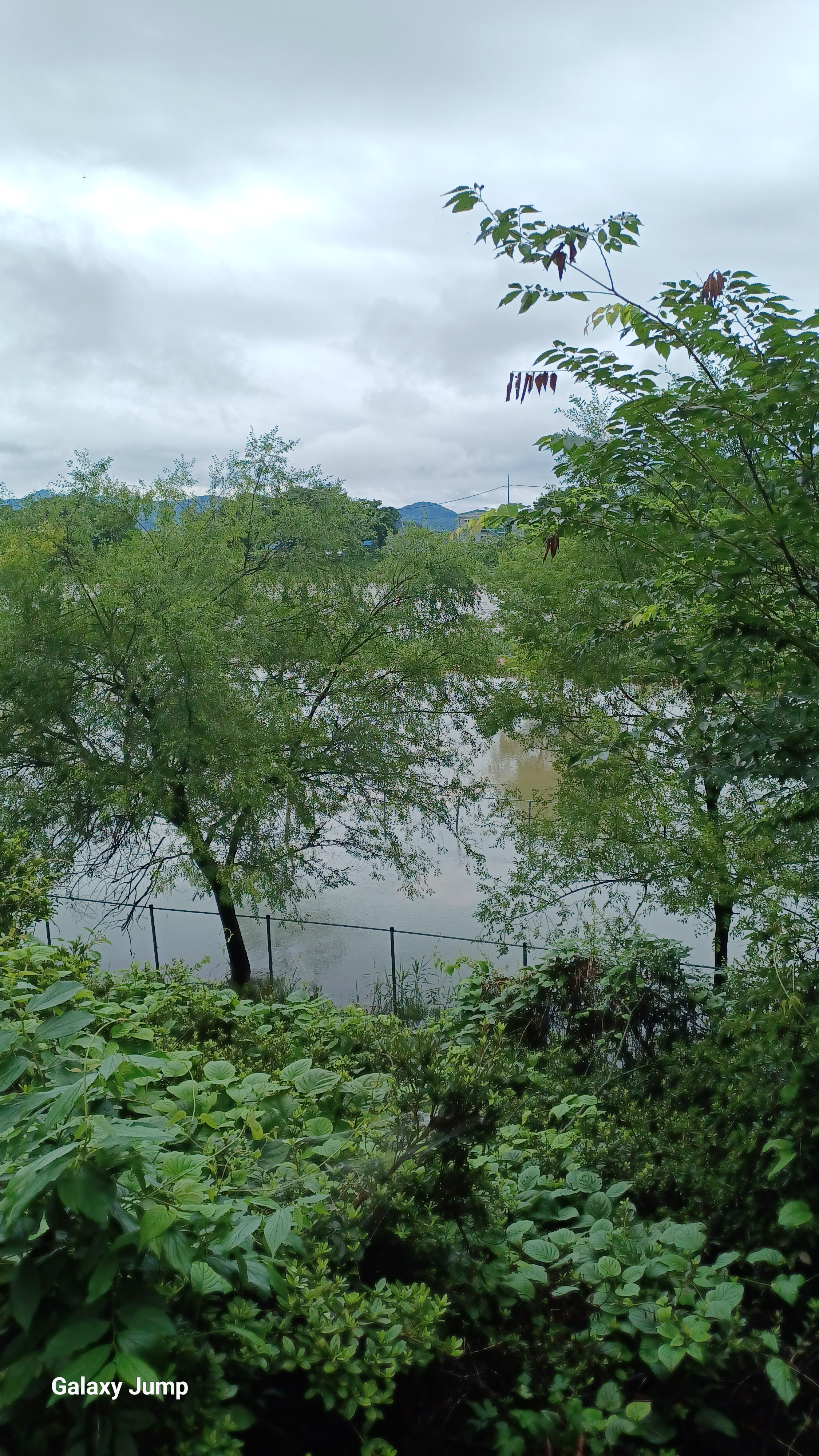 작성자 프로필 이미지