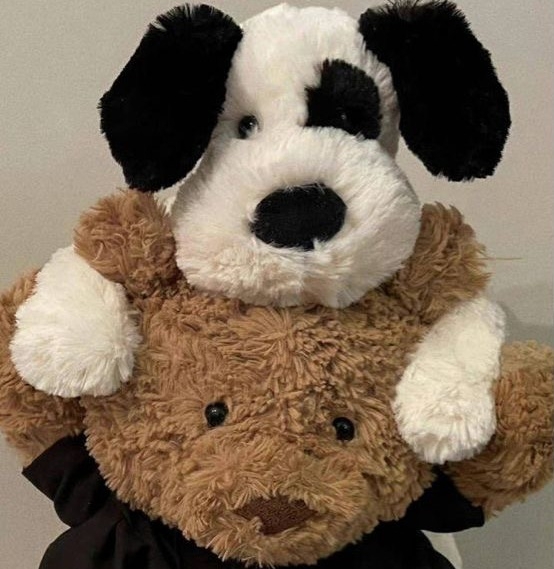 작성자 프로필 이미지