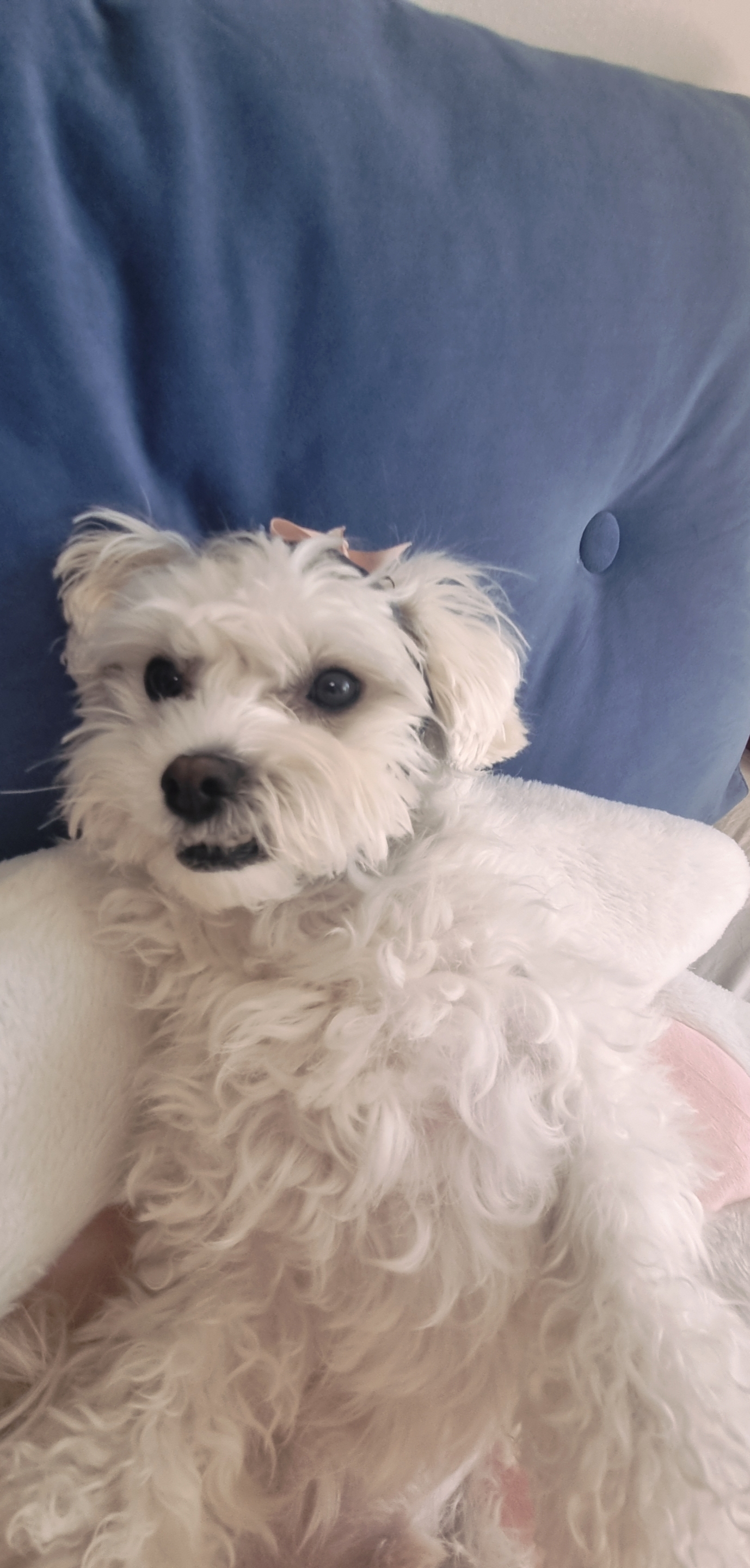 작성자 프로필 이미지