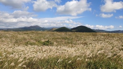 작성자 프로필 이미지