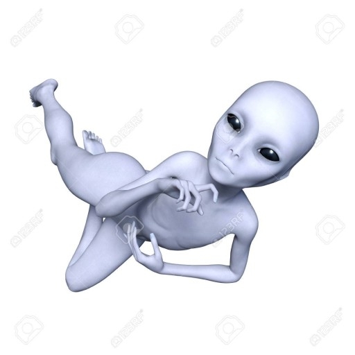 작성자 프로필 이미지