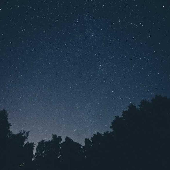 작성자 프로필 이미지