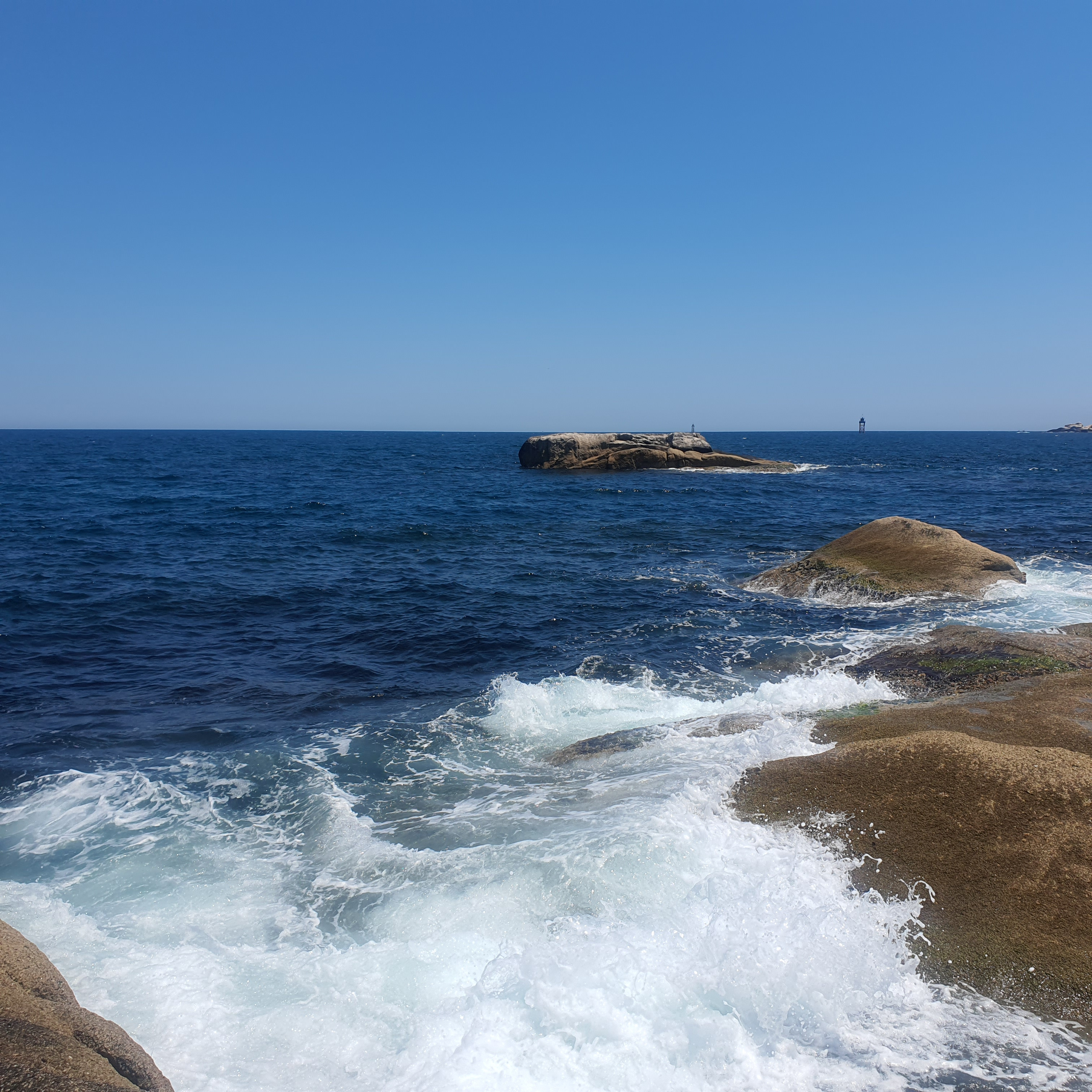 작성자 프로필 이미지