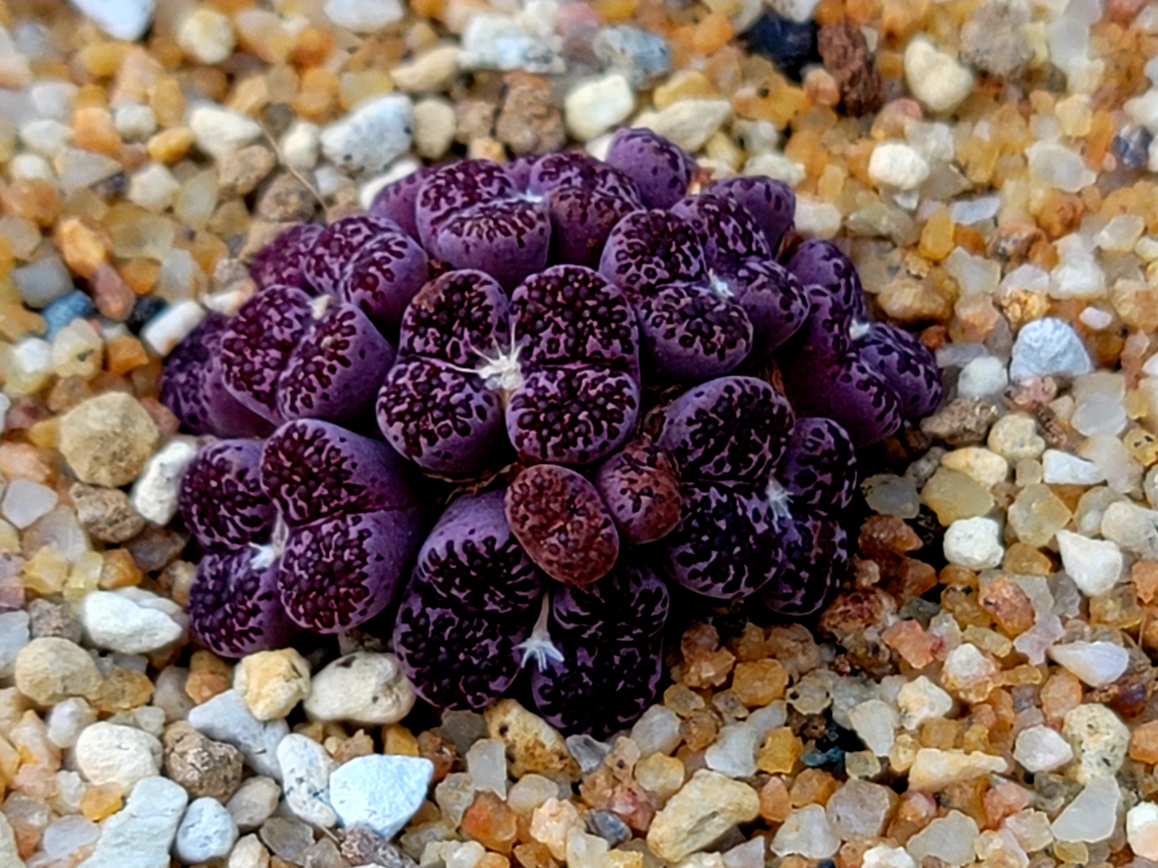 작성자 프로필 이미지