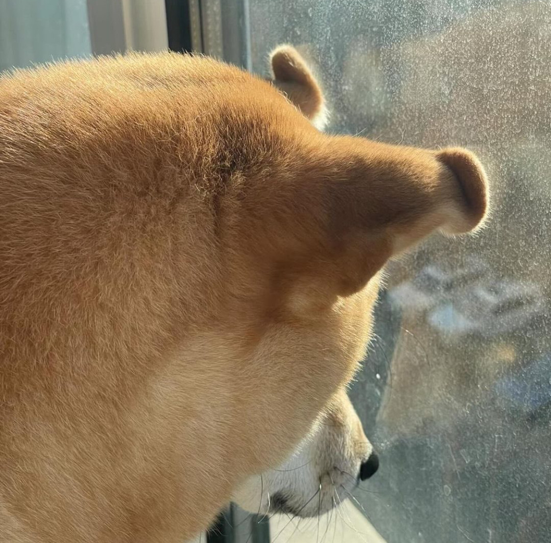 작성자 프로필 이미지
