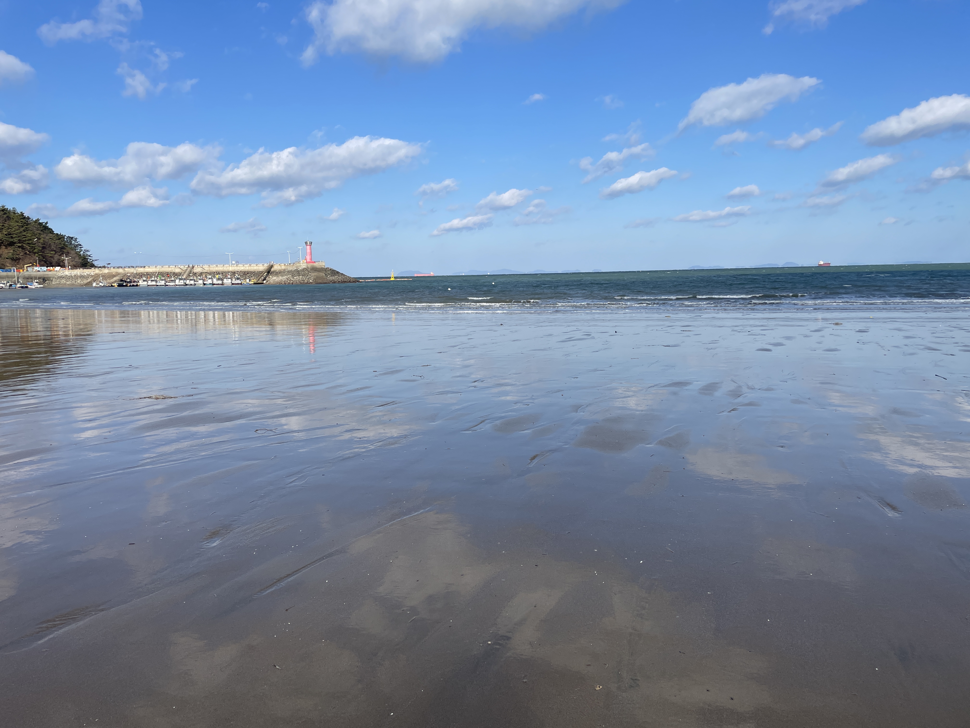 작성자 프로필 이미지