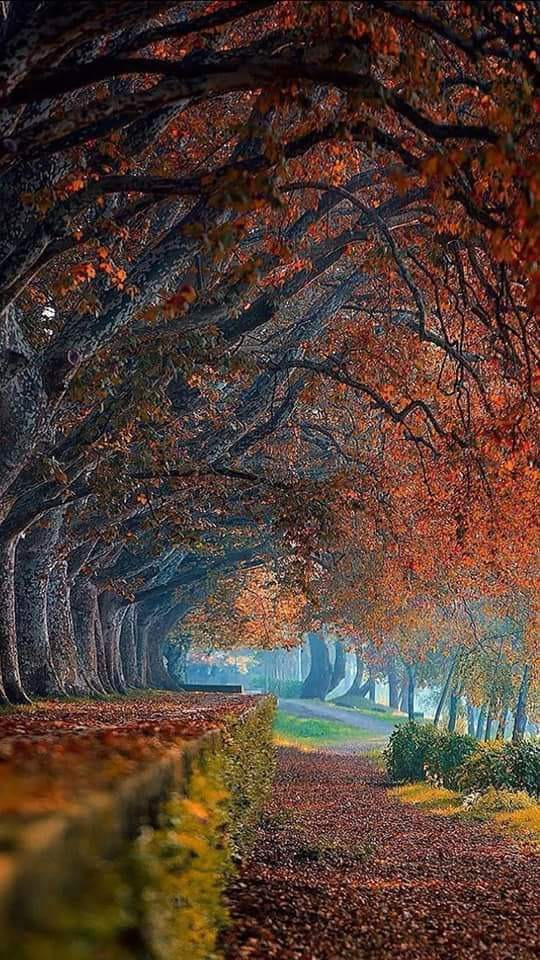 작성자 프로필 이미지