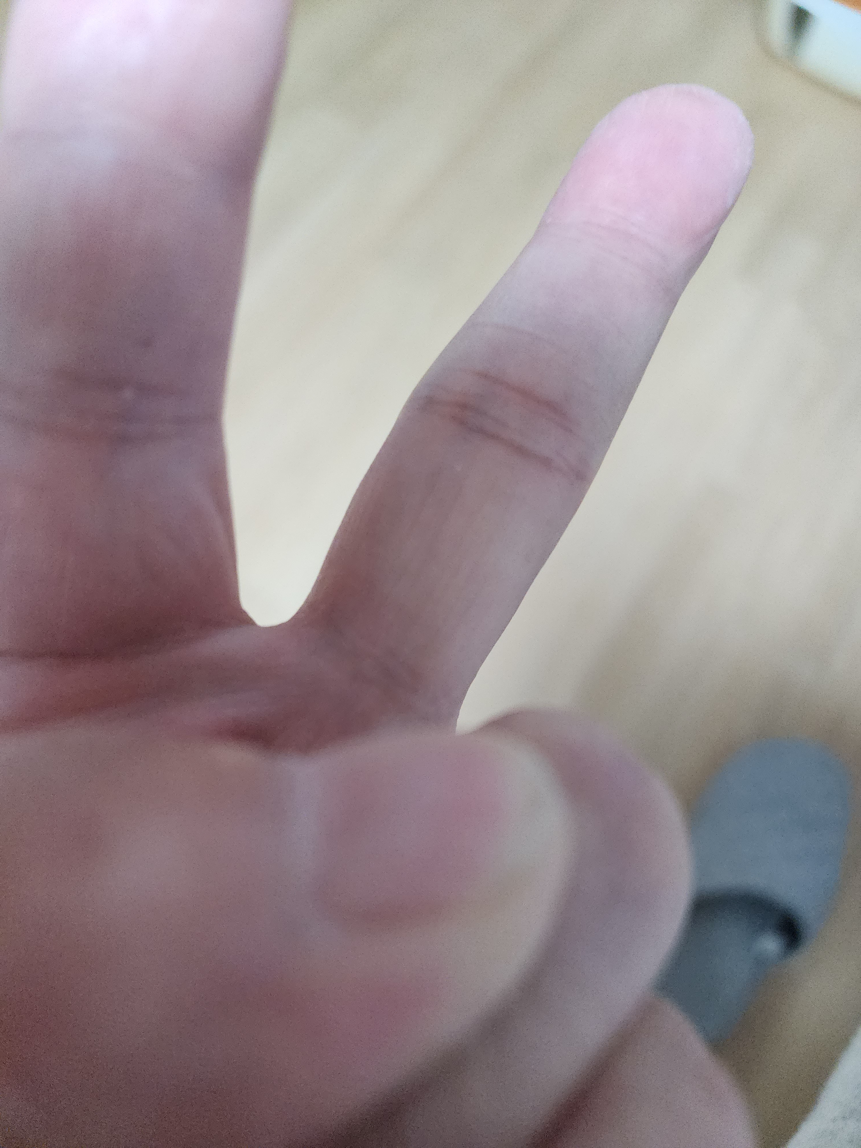 작성자 프로필 이미지