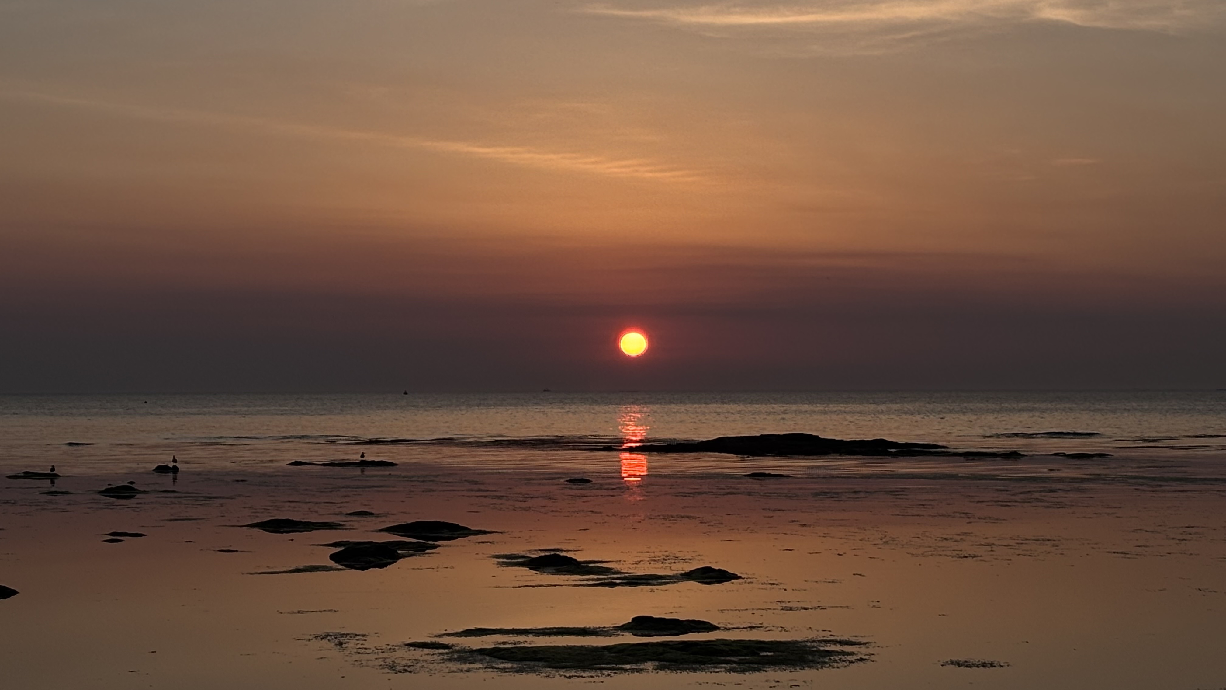 작성자 프로필 이미지