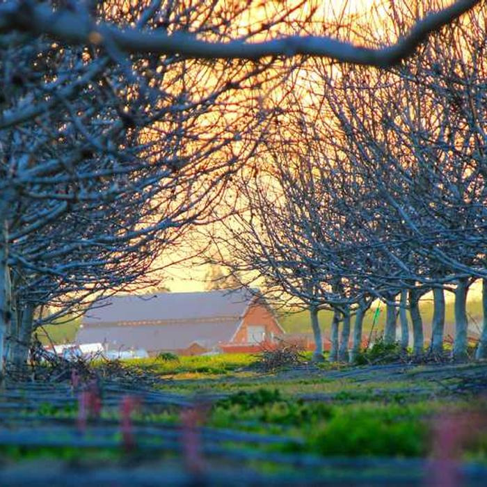 작성자 프로필 이미지