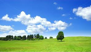 작성자 프로필 이미지