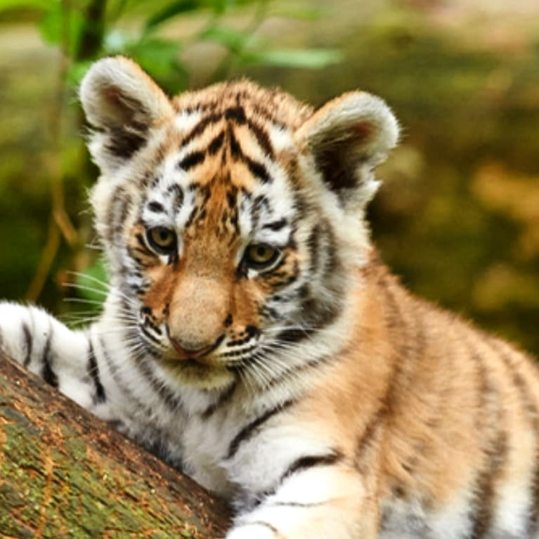 작성자 프로필 이미지