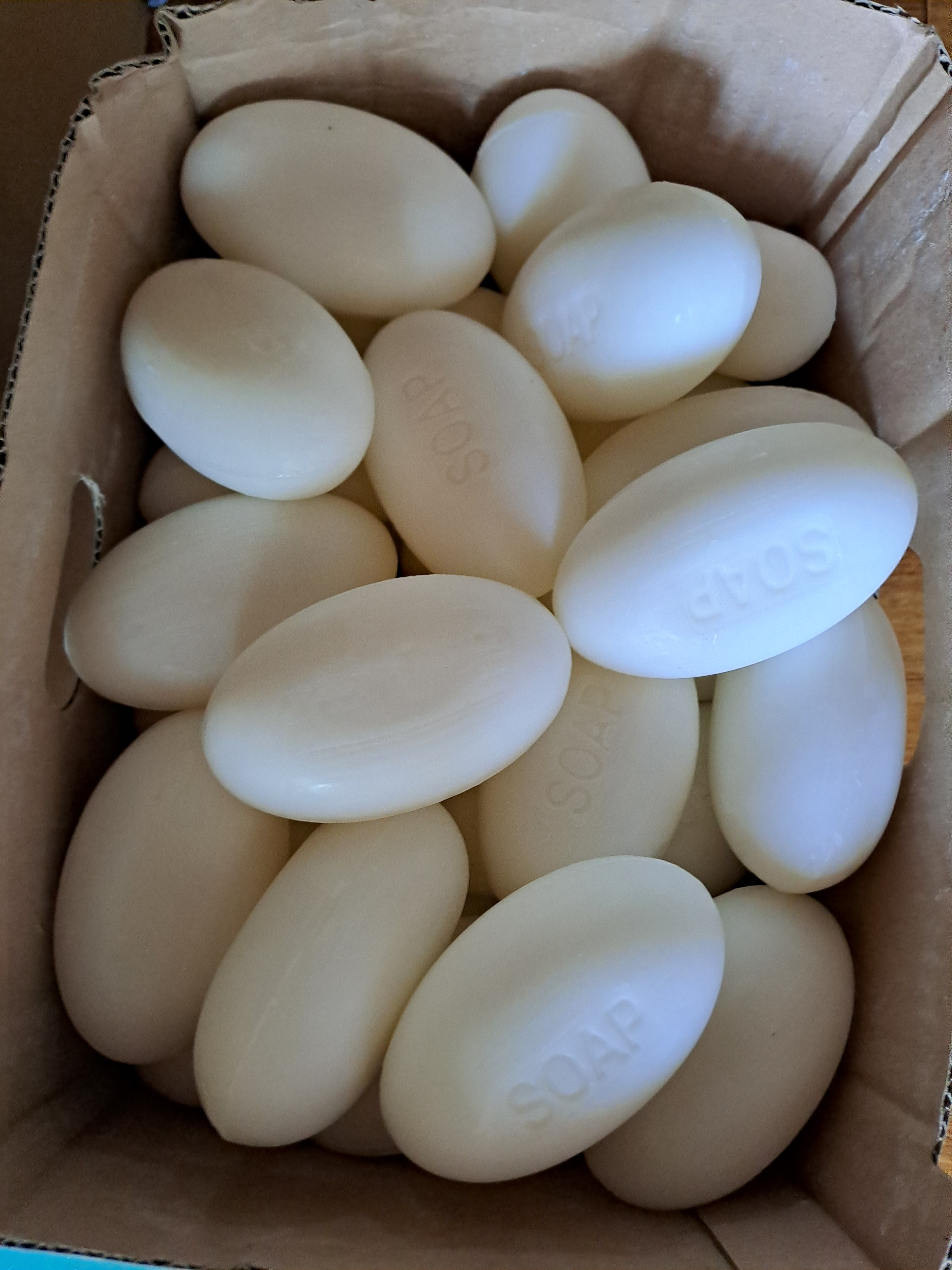 작성자 프로필 이미지