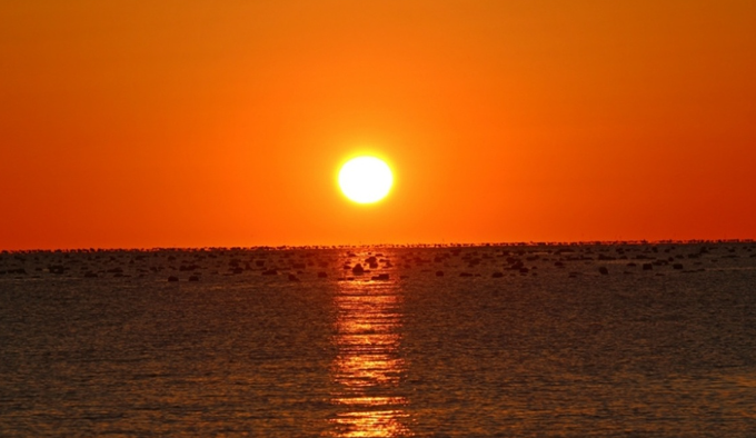 작성자 프로필 이미지