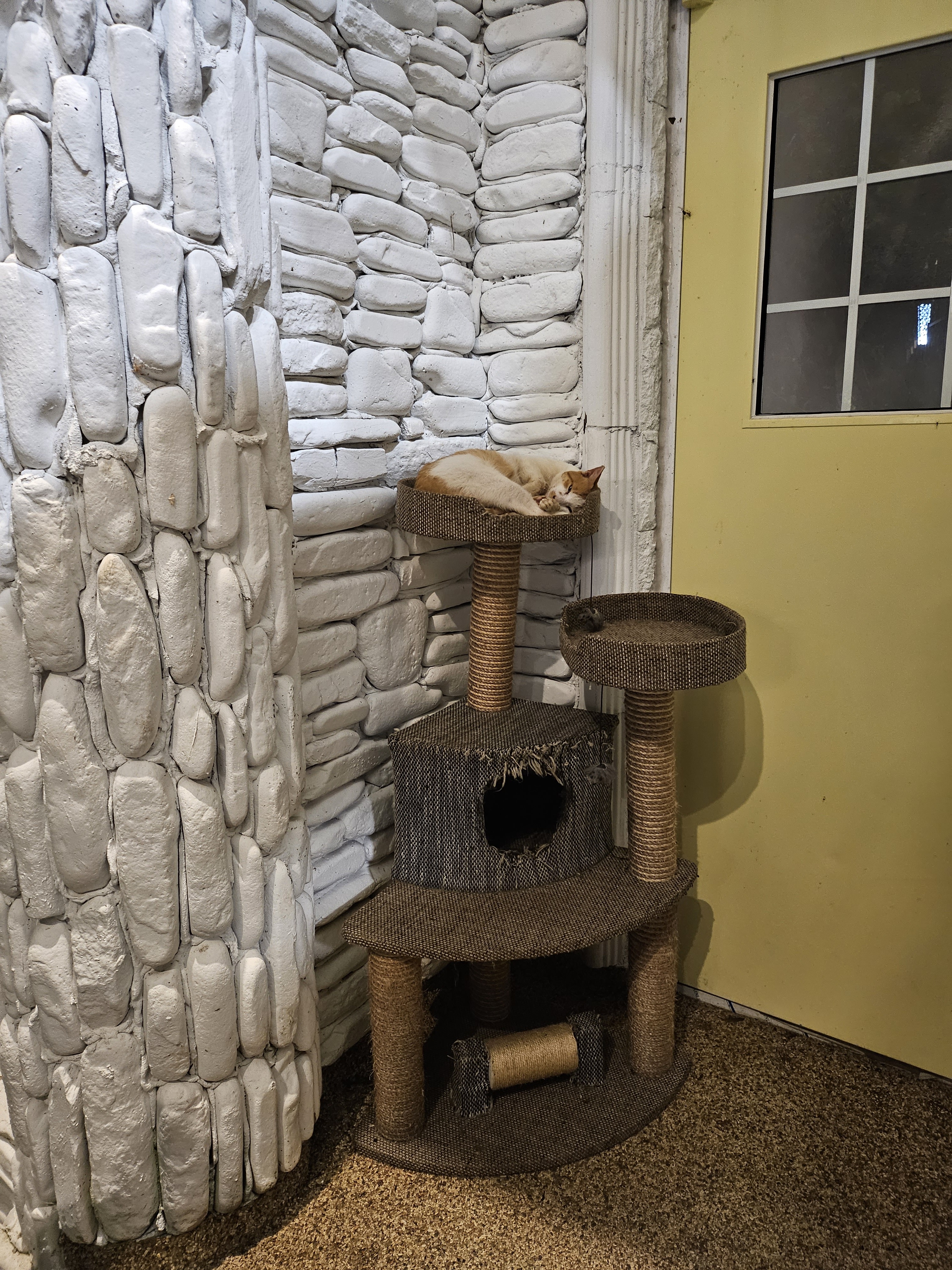 작성자 프로필 이미지