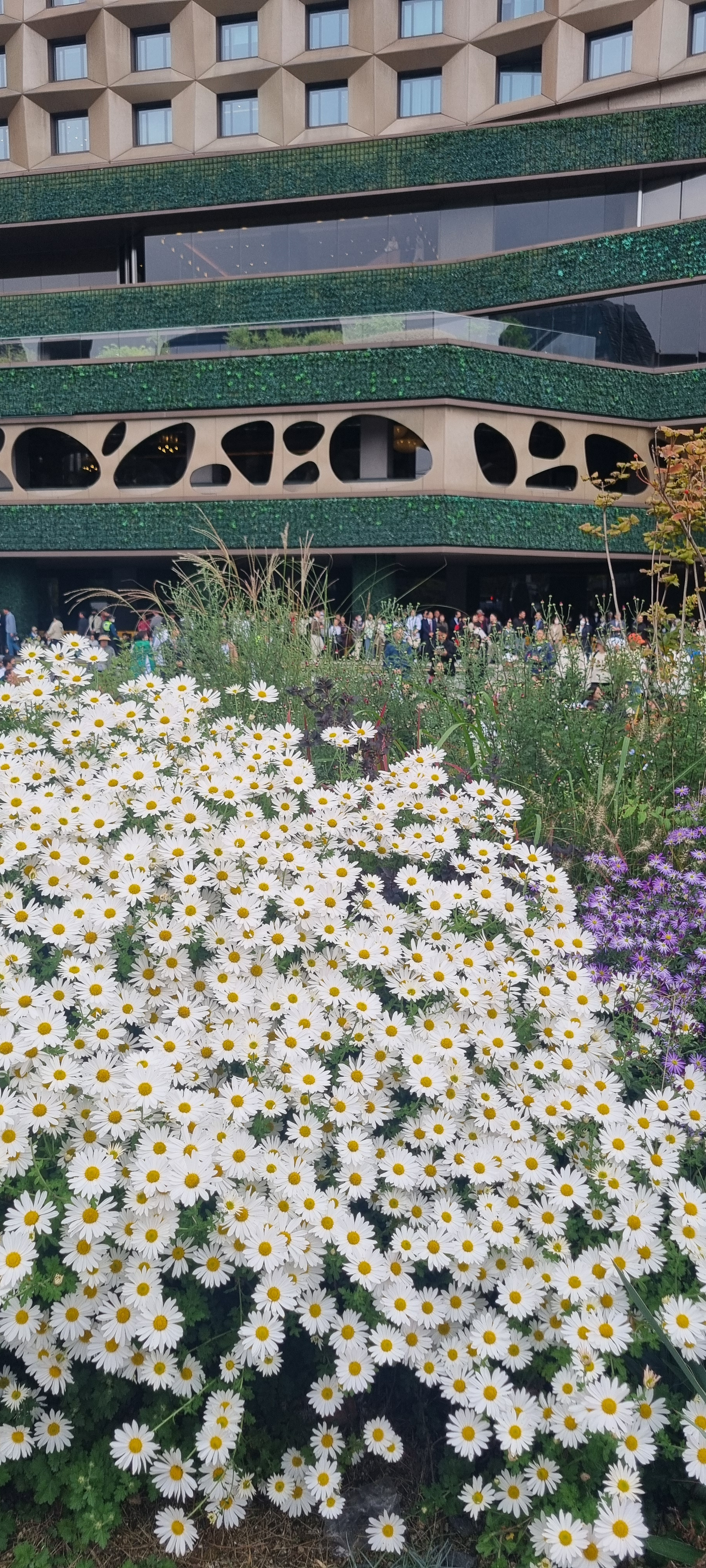 작성자 프로필 이미지