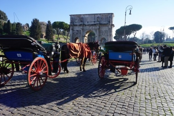 작성자 프로필 이미지