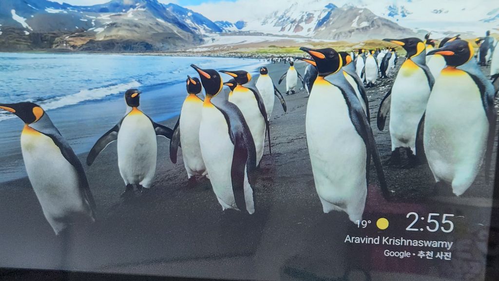 작성자 프로필 이미지