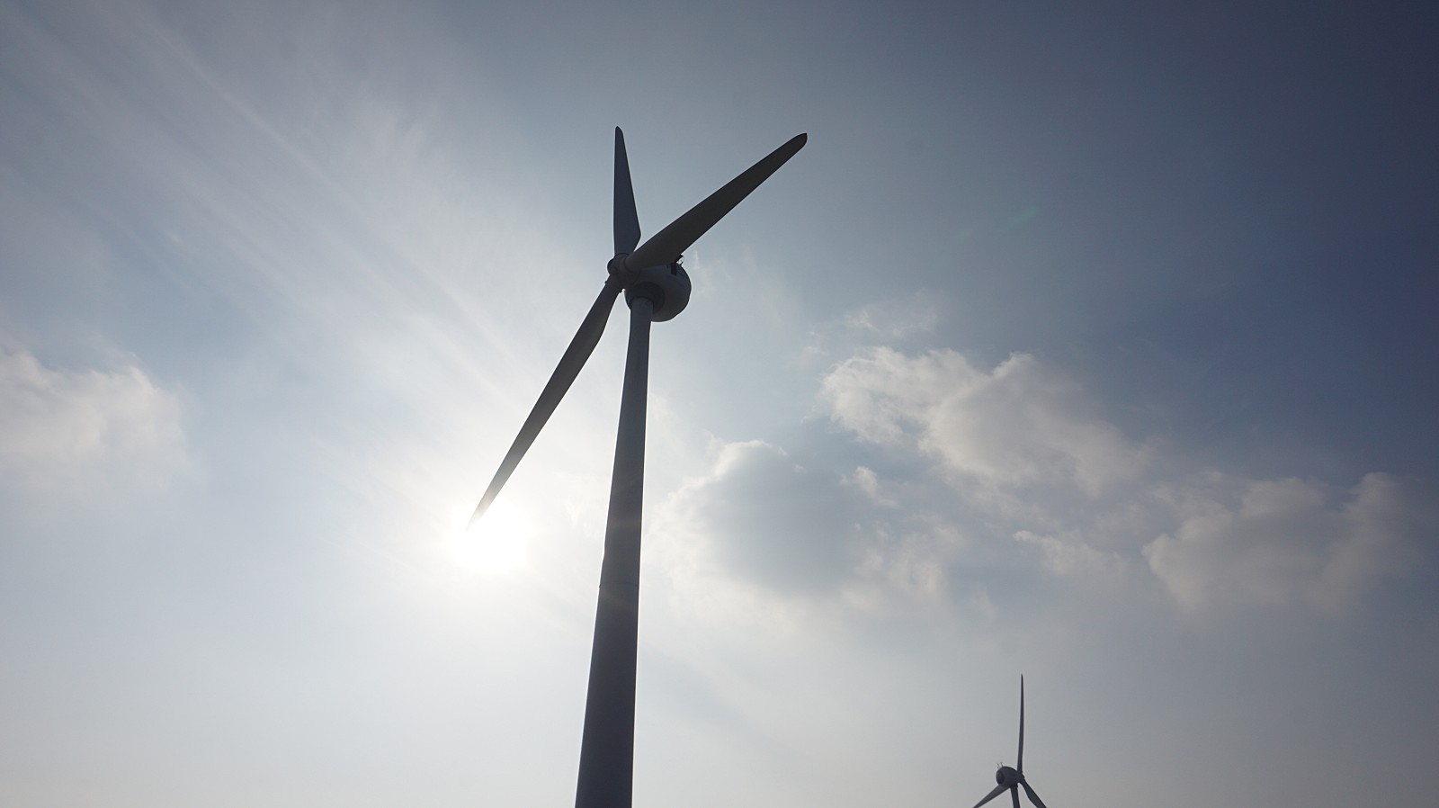 작성자 프로필 이미지