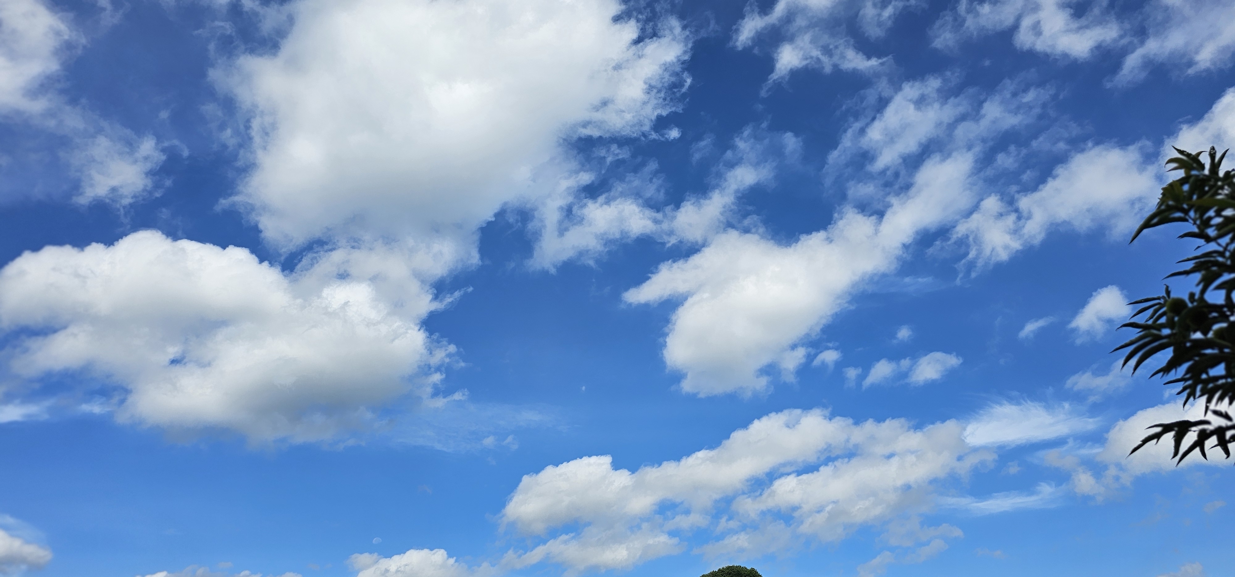 작성자 프로필 이미지