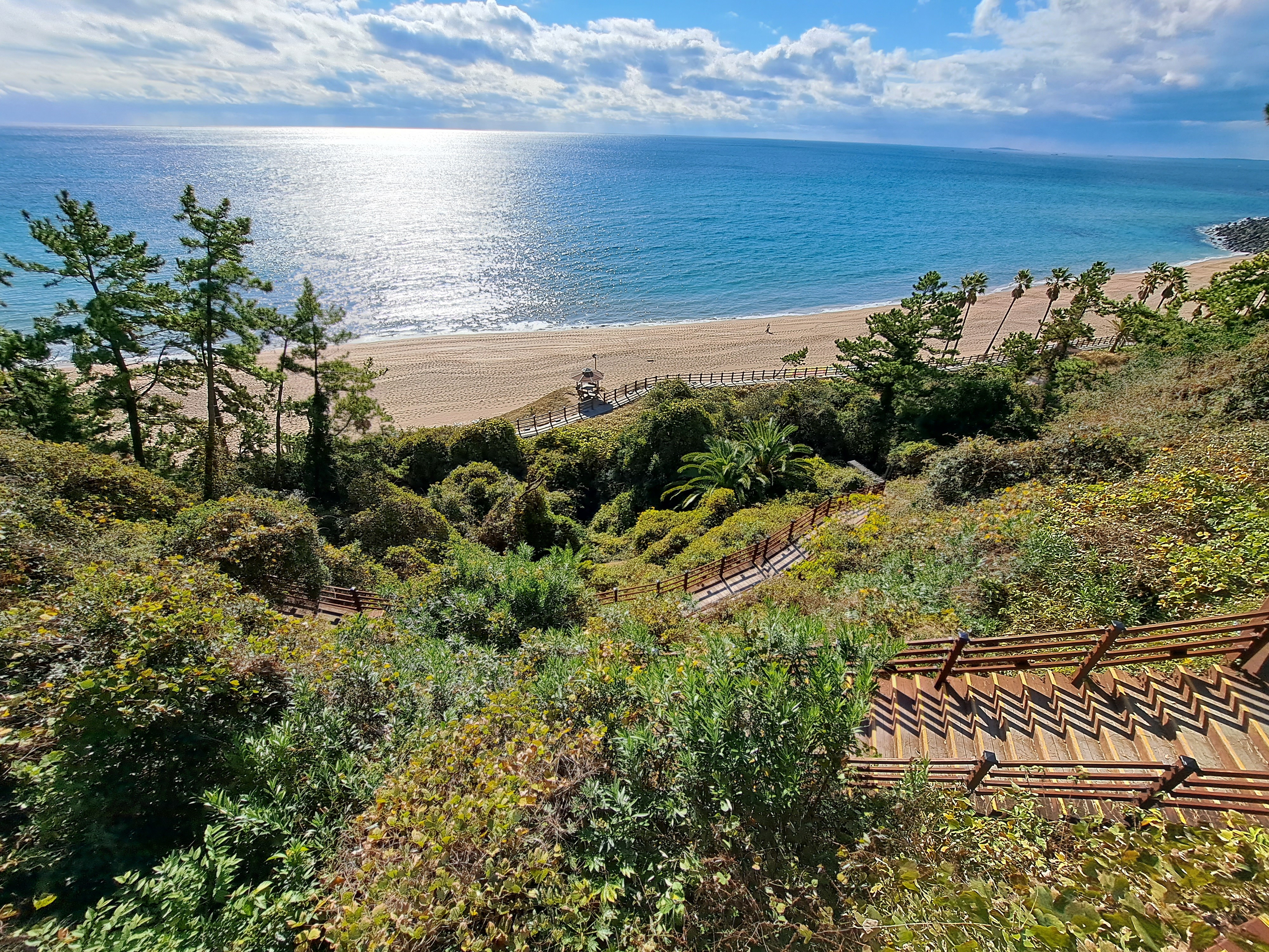 작성자 프로필 이미지