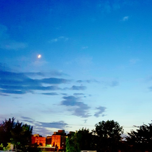 작성자 프로필 이미지