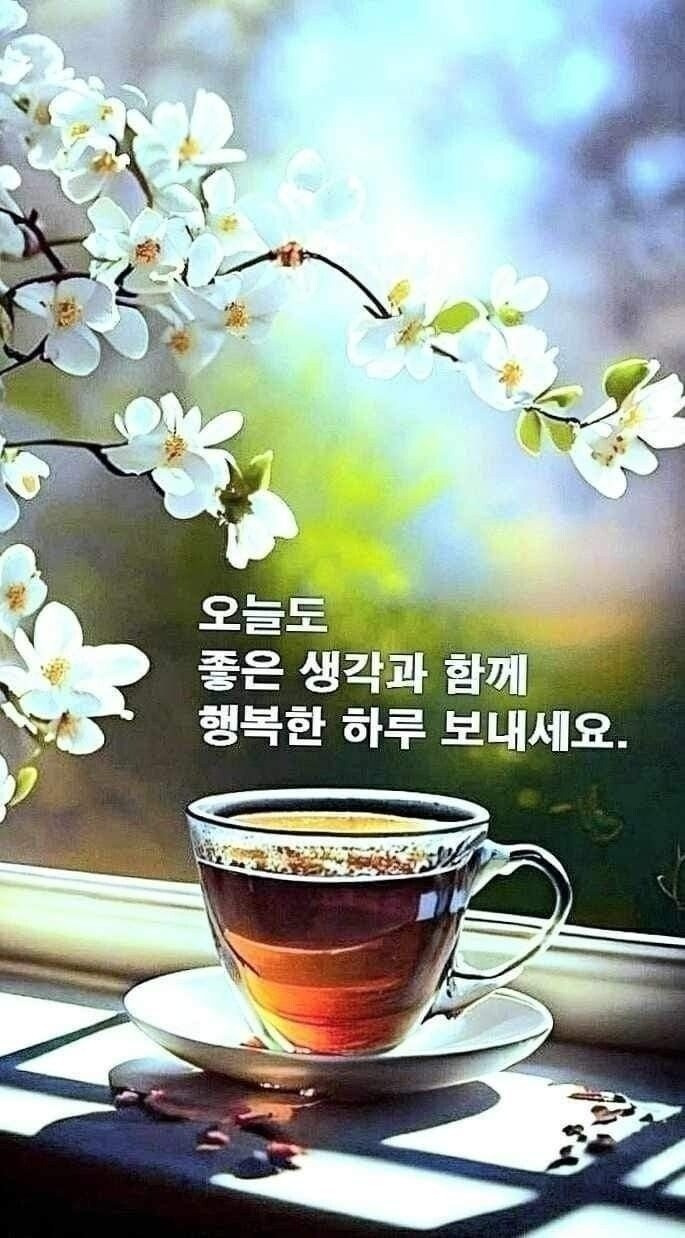 작성자 프로필 이미지