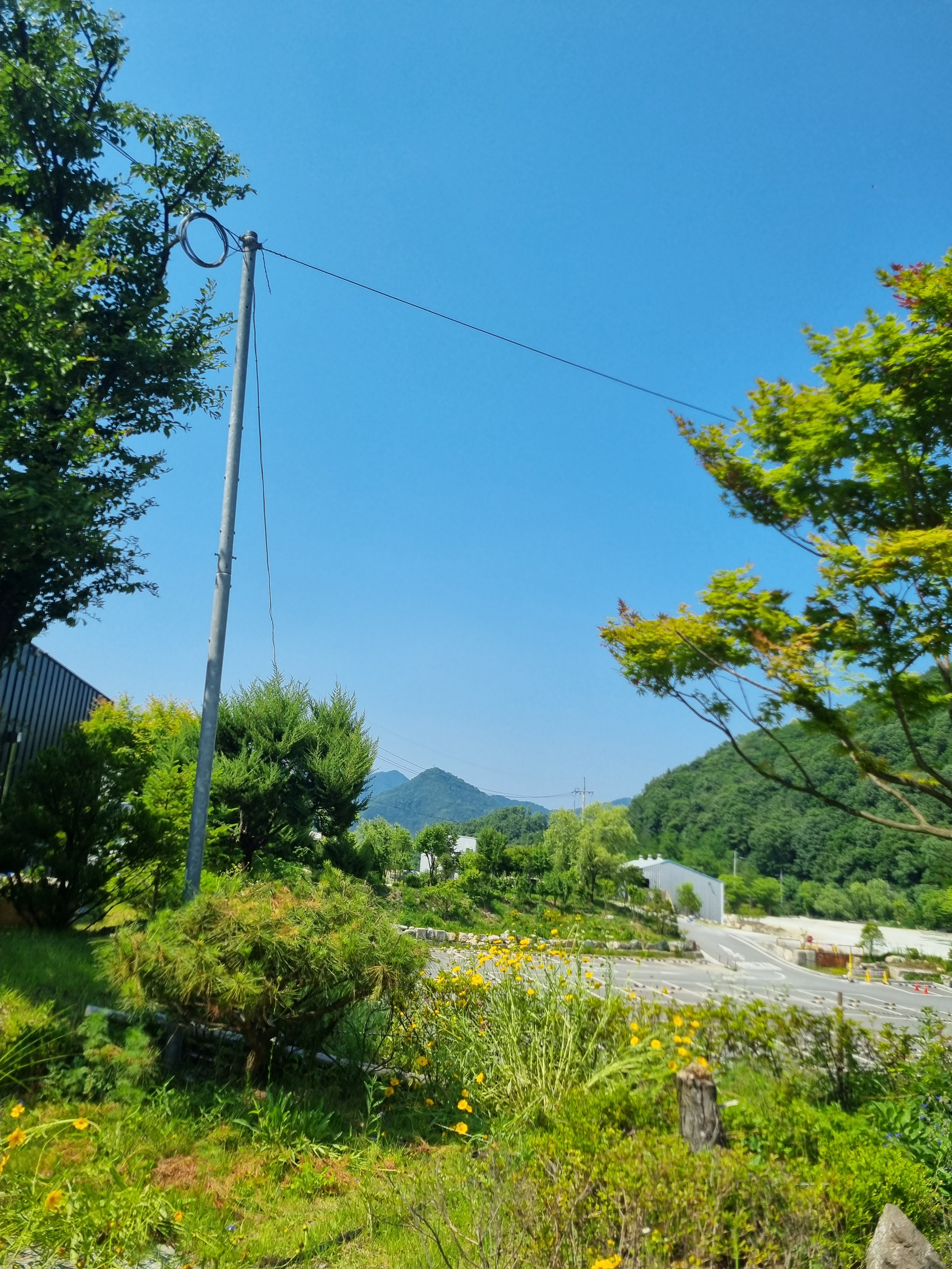 작성자 프로필 이미지