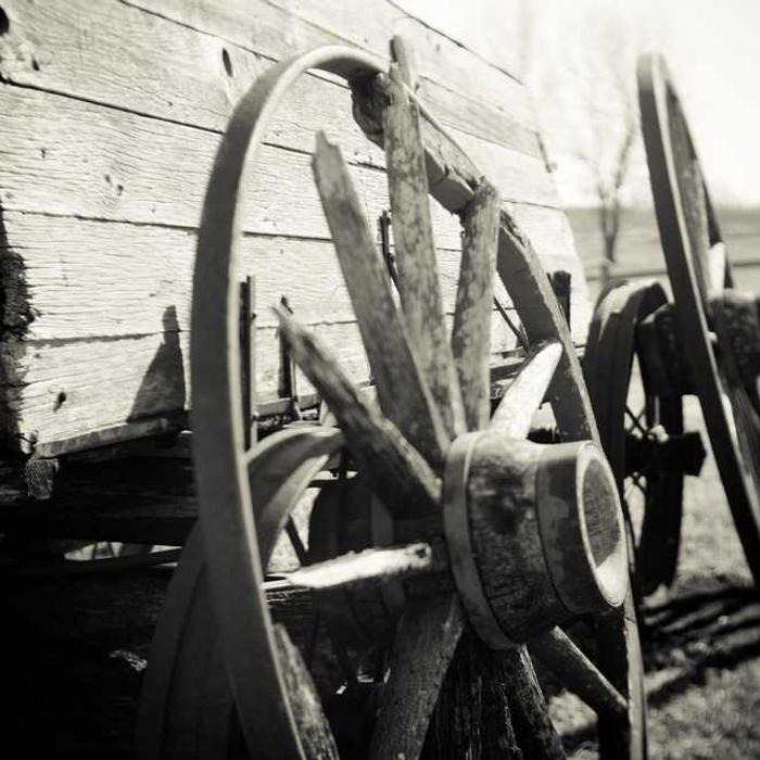 작성자 프로필 이미지