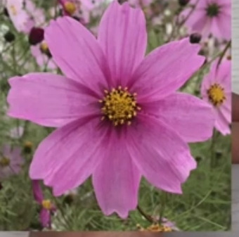 작성자 프로필 이미지